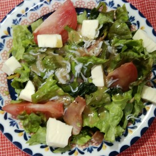 Bkqvik6hw9n1dm Bkqvik6hw9n1dm